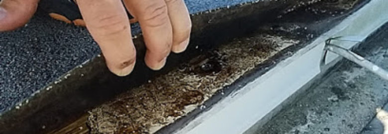 Home Inspection Services of SW Fl