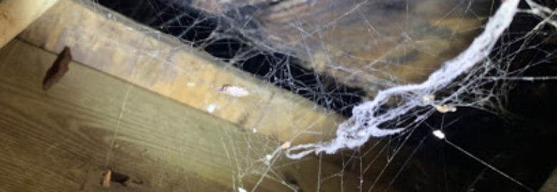 Residential Inspector of America