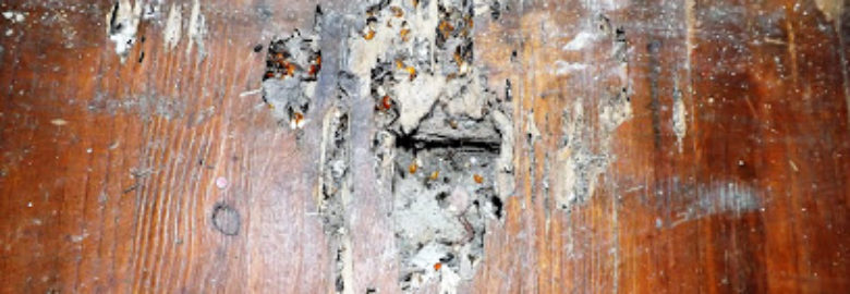 Proven Home Inspection Service Inc.