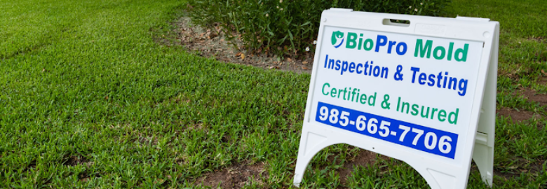 Bio Pro Mold Inspection & Testing