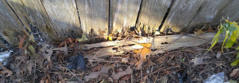 Kingsmen Home Inspection Services Inc