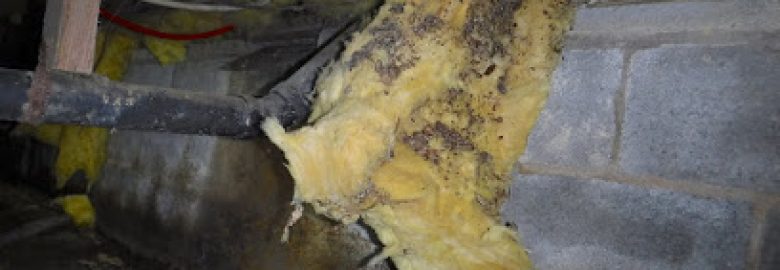 Dragonfly Home Inspections – Thorough, Prompt, and Affordable Home Inspector