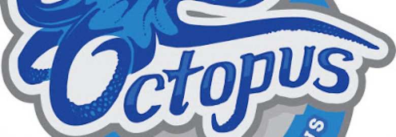 Octopus Home Inspections, LLC
