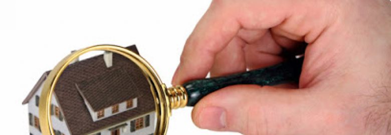 INSPECTicon Home Inspections Termite Control