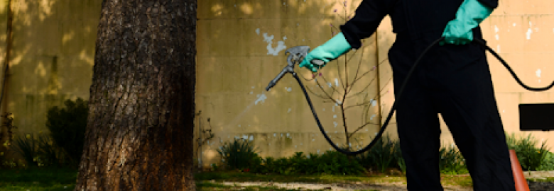 Brothers Inspections Services