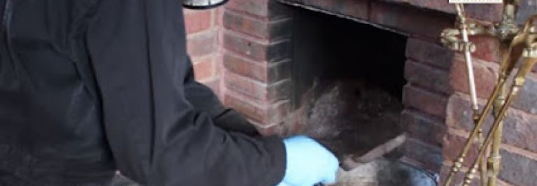 Chimney Sweep & Repair Pro Riverside